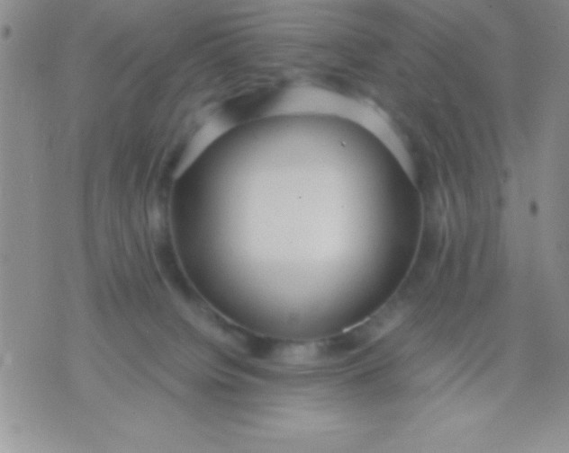 X0000071950084200607282019