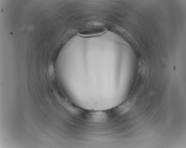 X0000071950087200607282019