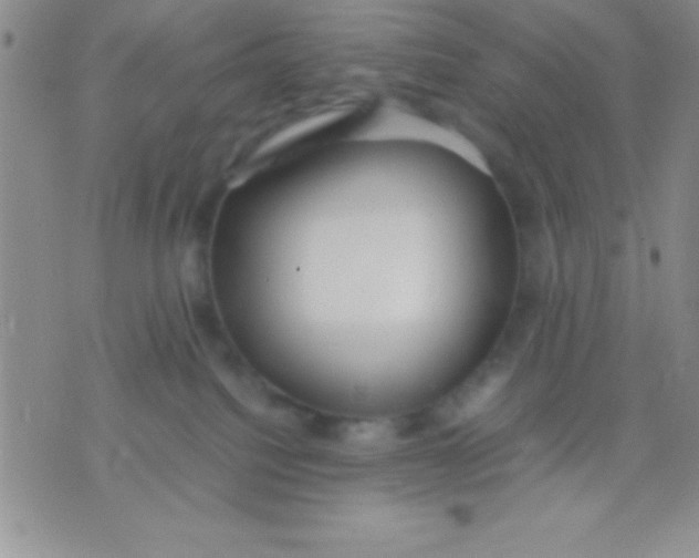 X0000071950088200607282019