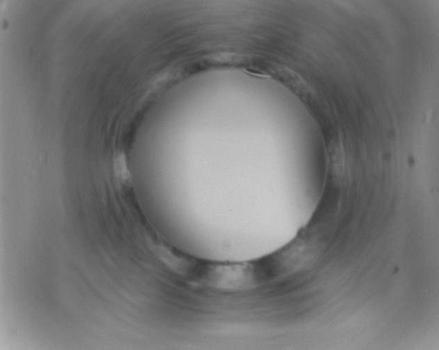 X0000071950089200607282019