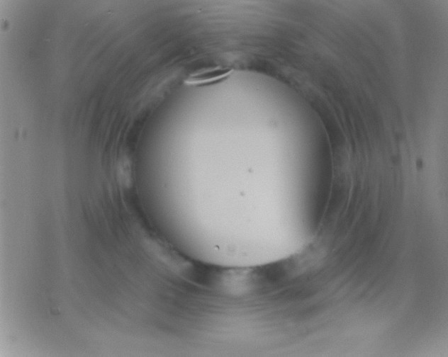 X0000071950090200607282019