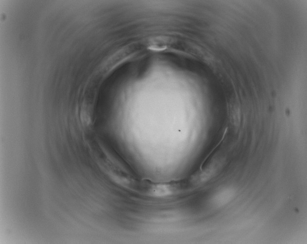 X0000071950091200607282019