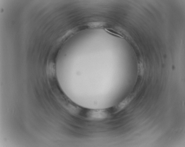 X0000071950093200607282019