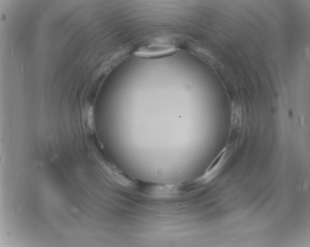 X0000071950094200607282019