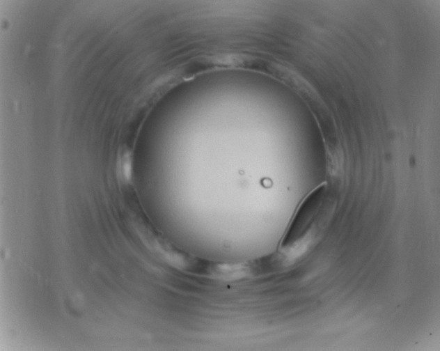 X0000071950095200607282019