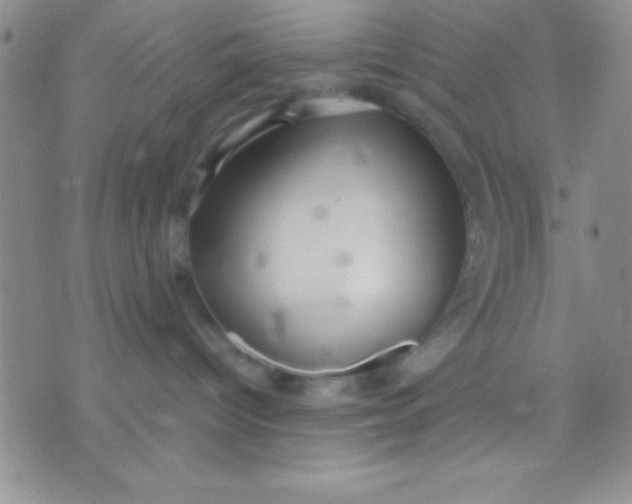 X0000071950096200607282019