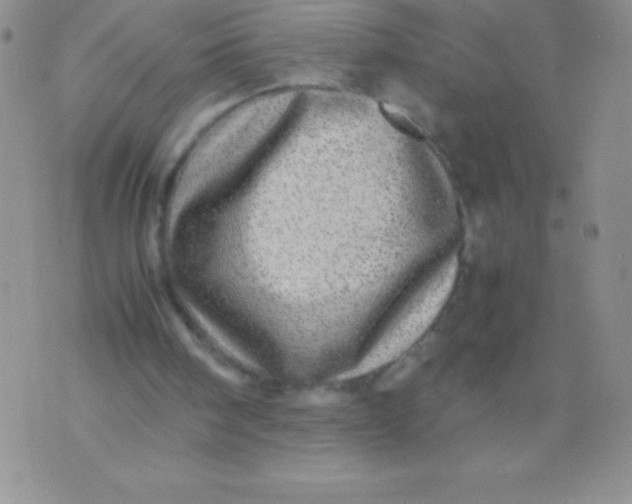 X0000071950098200607282018