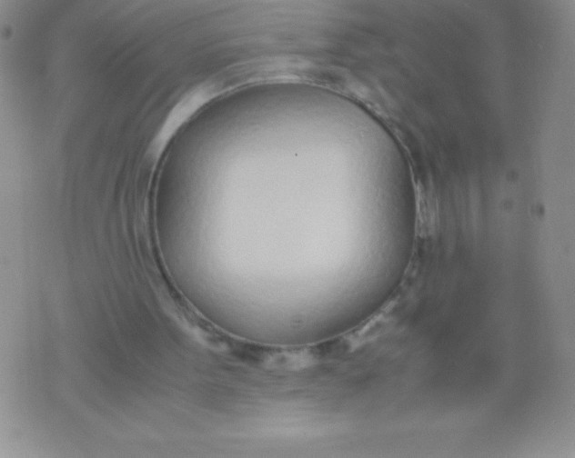 X0000071950099200607282018