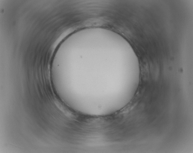 X0000071950100200607282018