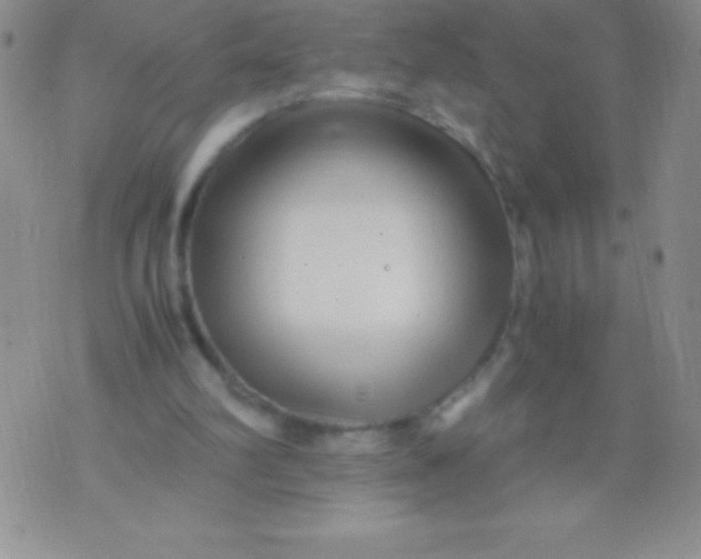 X0000071950102200607282018