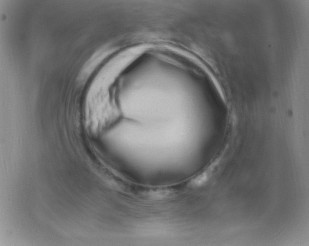 X0000071950103200607282018