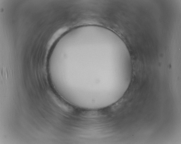 X0000071950104200607282018