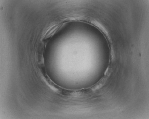 X0000071950105200607282018