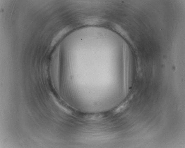 X0000071950106200607282018