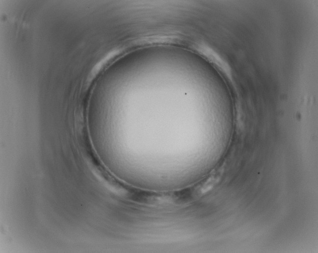 X0000071950107200607282018