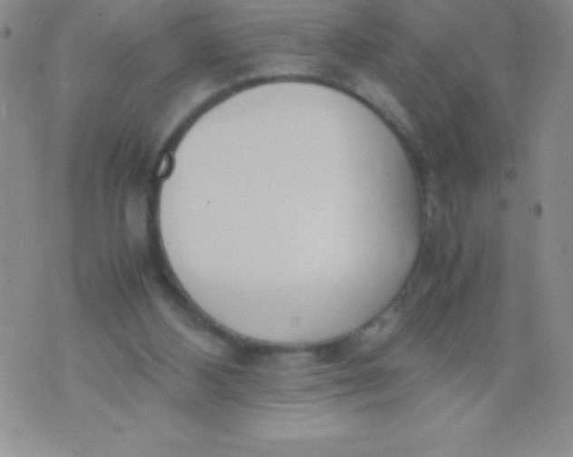 X0000071950108200607282018