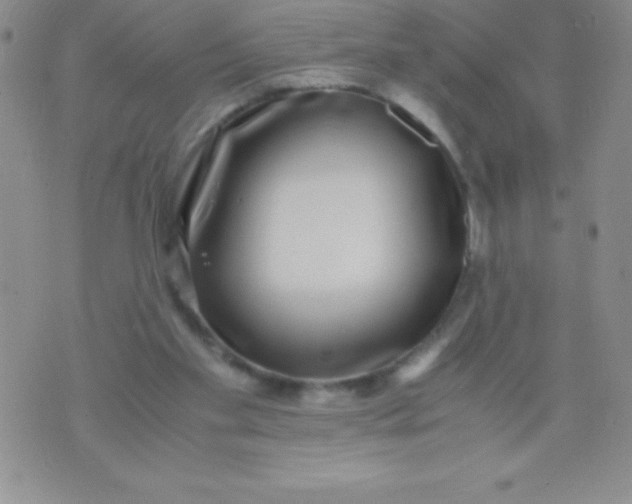 X0000071950109200607282018