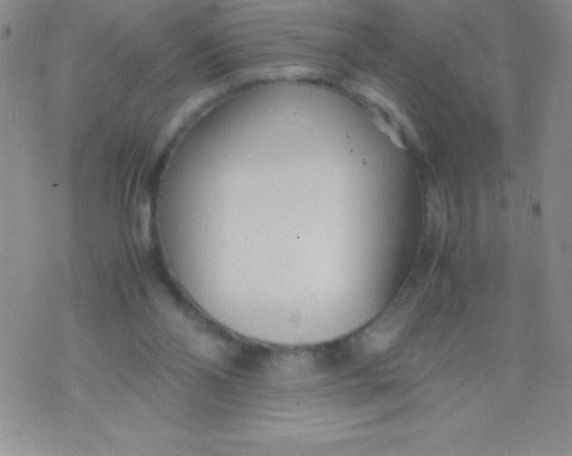 X0000071950110200607282018