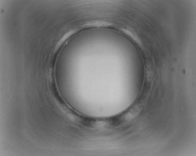 X0000071950111200607282018