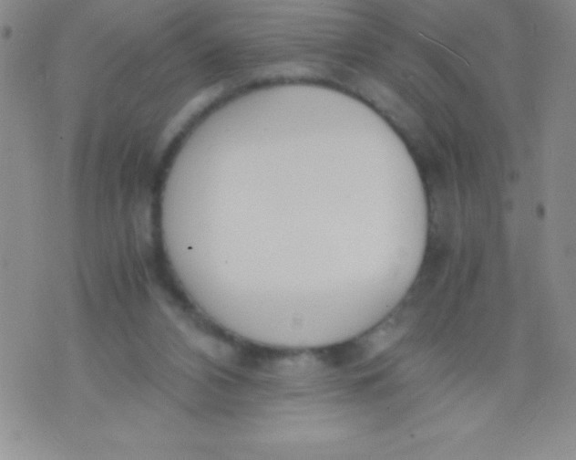 X0000071950112200607282018