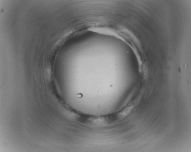 X0000071950113200607282018