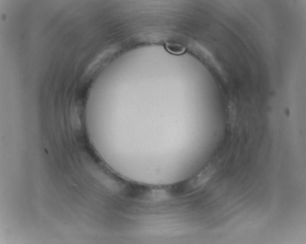 X0000071950114200607282018