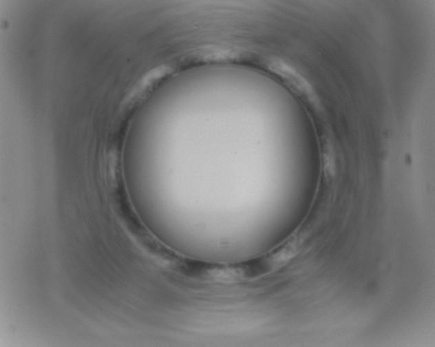 X0000071950115200607282018