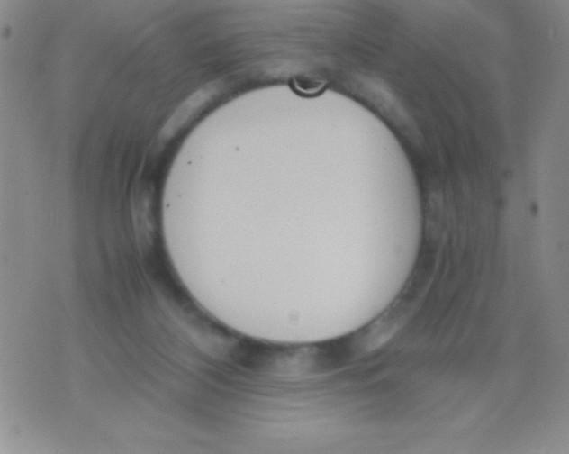 X0000071950116200607282018