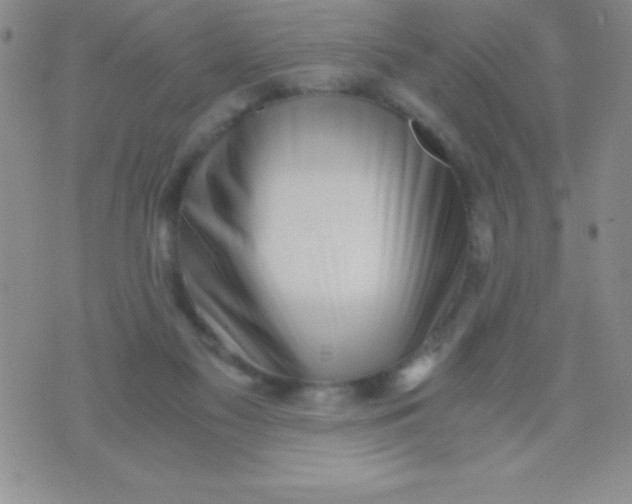 X0000071950117200607282018