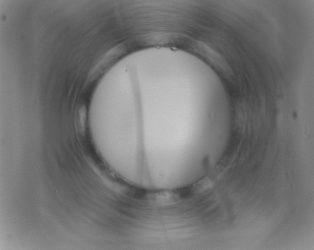 X0000071950118200607282018