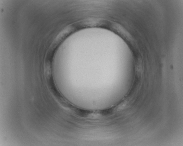 X0000071950119200607282018