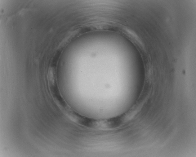 X0000071950121200607282018