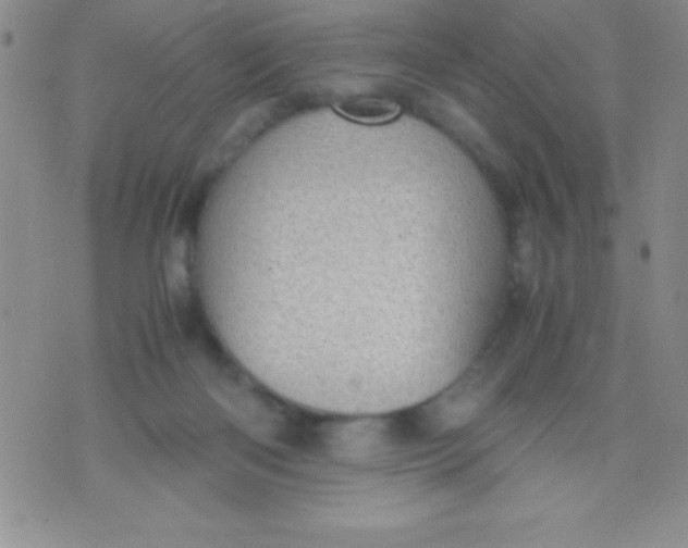 X0000071950122200607282018