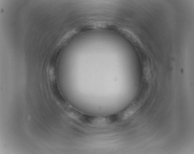 X0000071950123200607282018