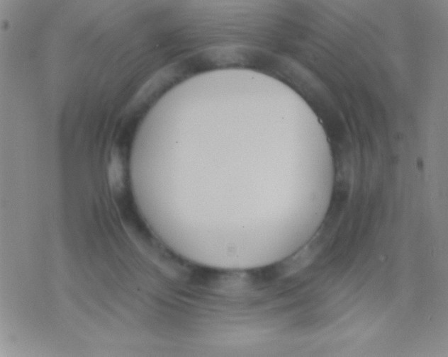 X0000071950124200607282018