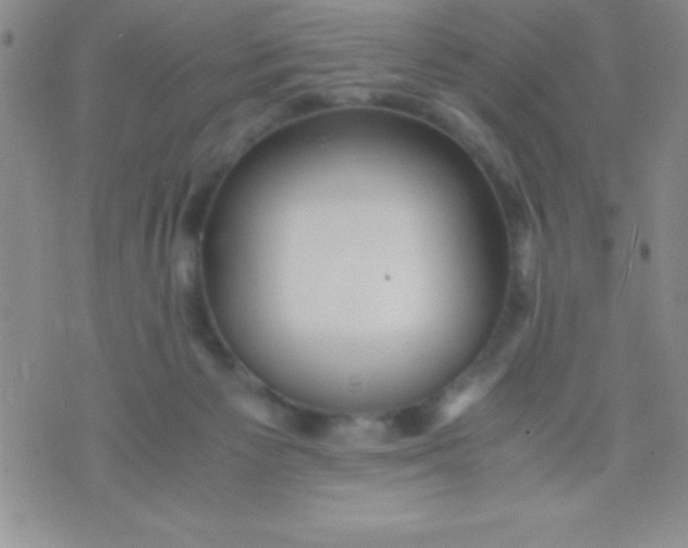 X0000071950125200607282018