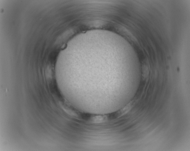 X0000071950126200607282018