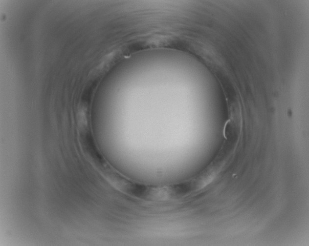 X0000071950127200607282018