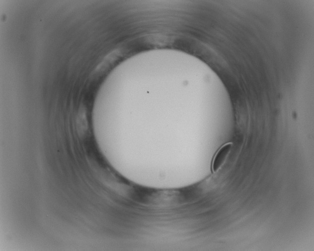 X0000071950128200607282018