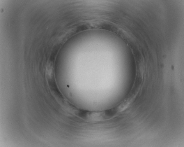 X0000071950129200607282018