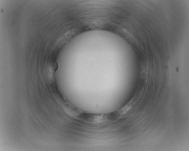 X0000071950130200607282018