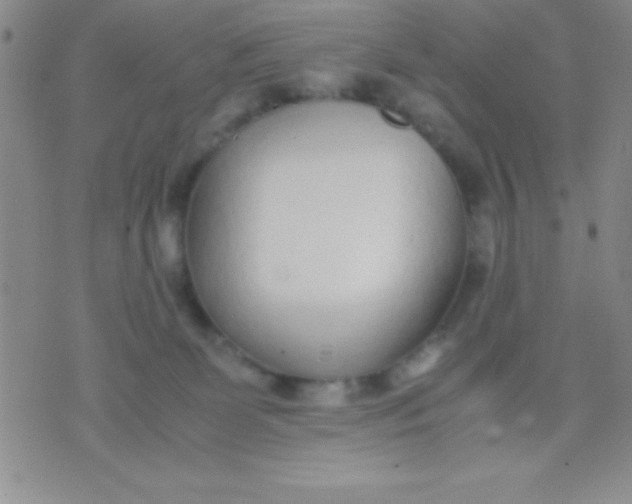 X0000071950131200607282018