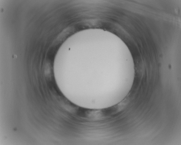 X0000071950132200607282018