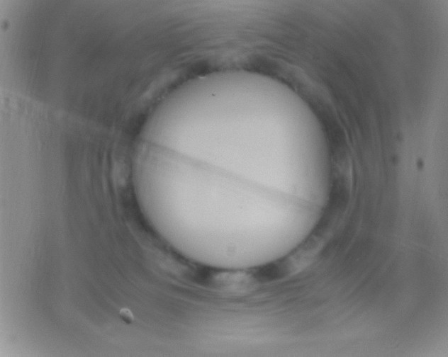 X0000071950133200607282018