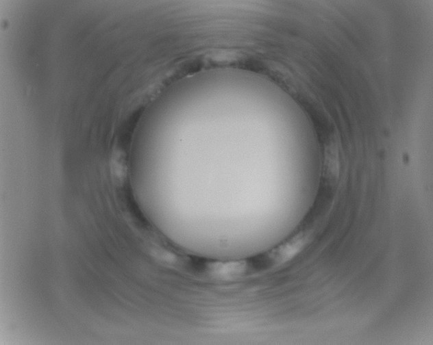 X0000071950135200607282018