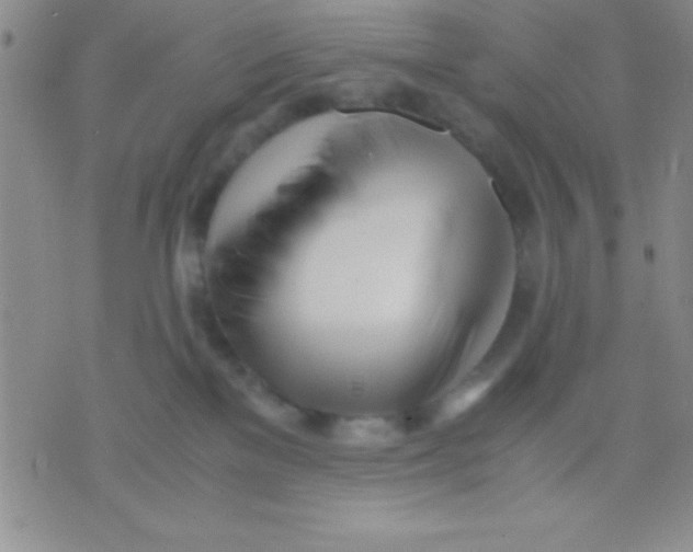 X0000071950137200607282018