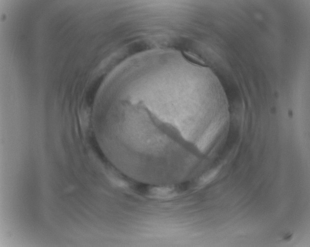 X0000071950139200607282018