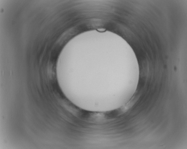 X0000071950140200607282018