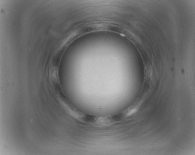 X0000071950141200607282018