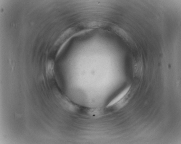 X0000071950142200607282017